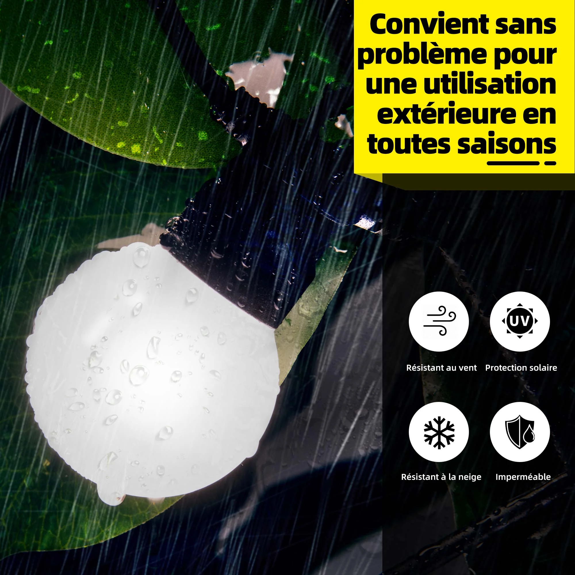Image du produit 52