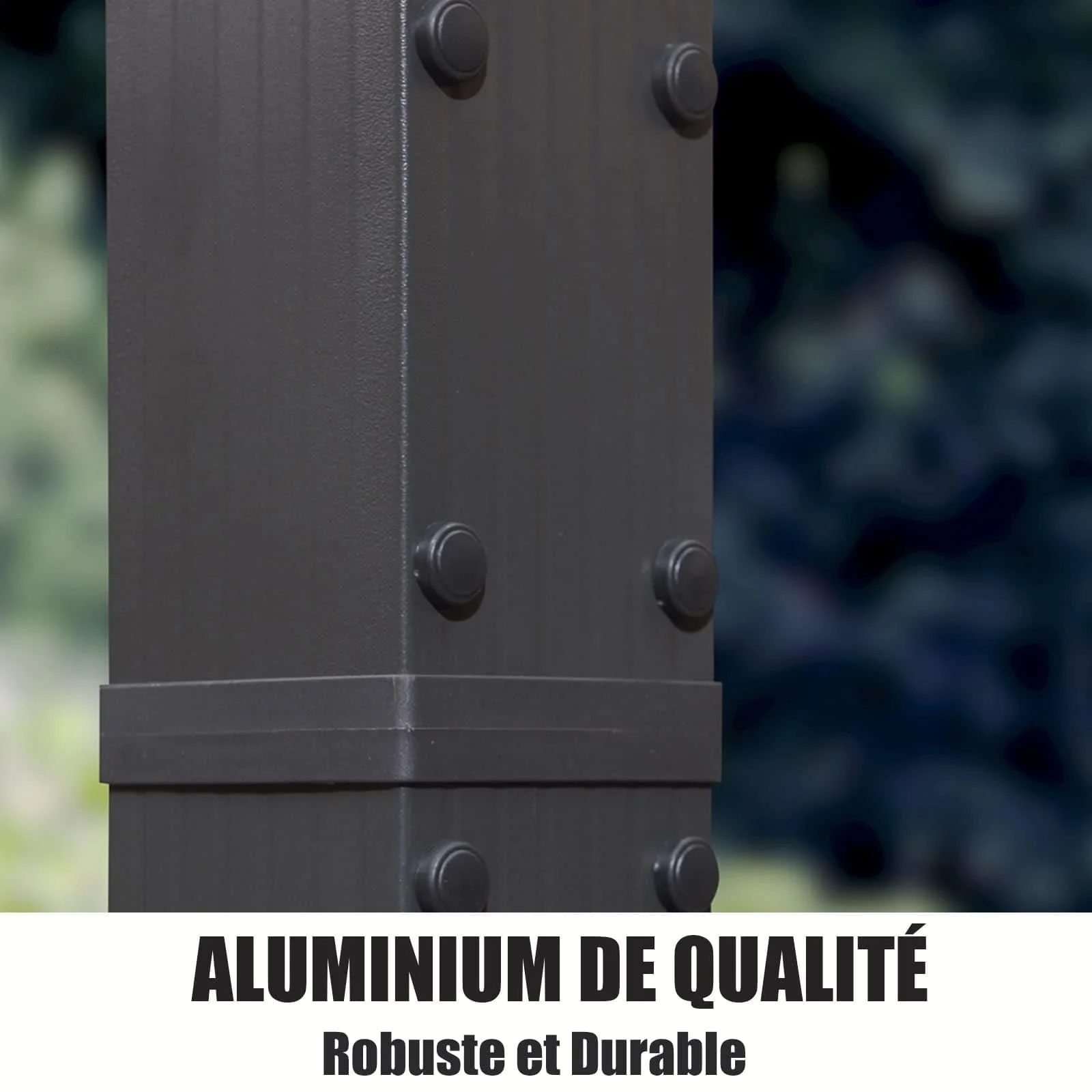 Image du produit 46