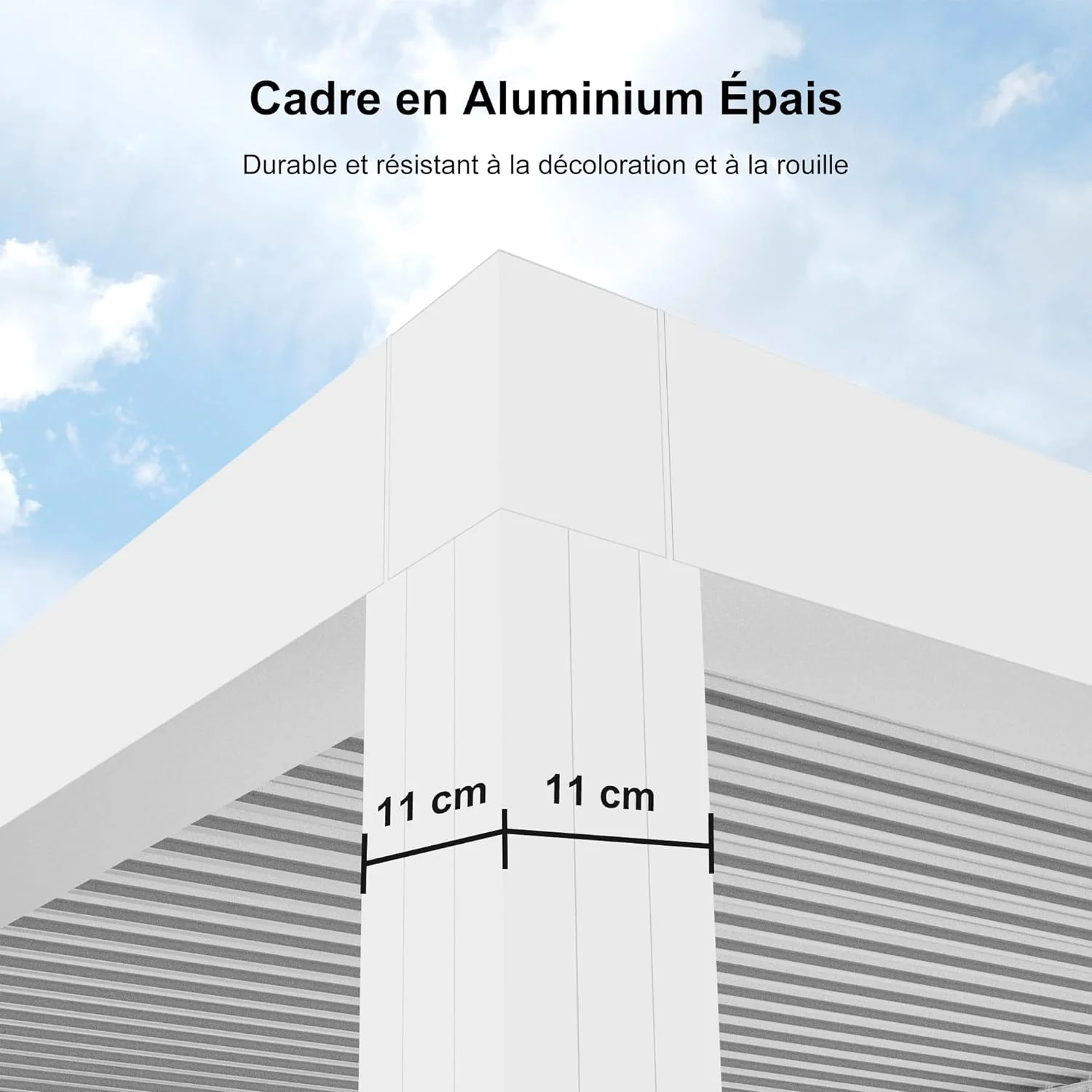 Image du produit 31