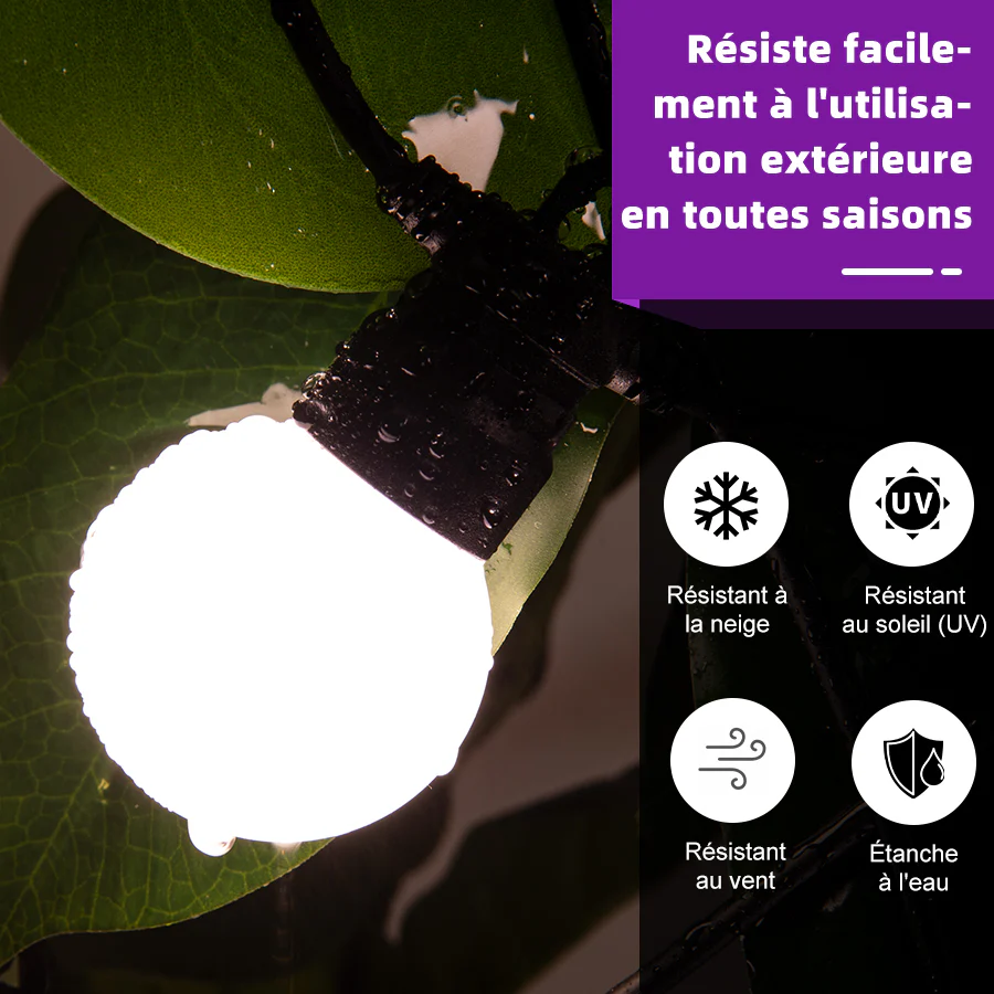 Image du produit 32
